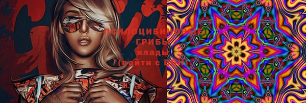 2c-b Алзамай