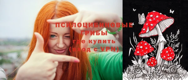 дживик Алексин