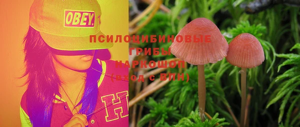 дживик Алексин