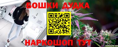 шишки Апшеронск