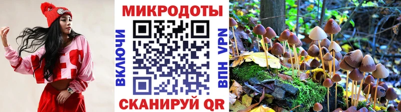 магазин продажи   Ахтубинск  Галлюциногенные грибы Psilocybe 