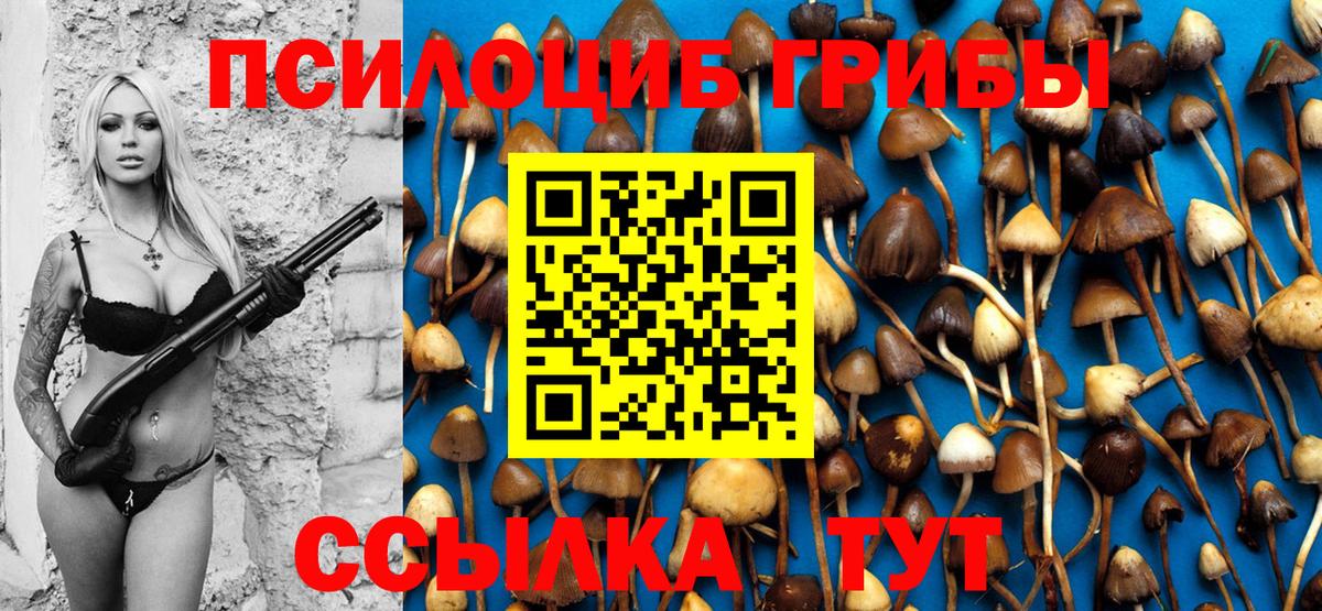 Галлюциногенные грибы Psilocybine cubensis  Ахтубинск 