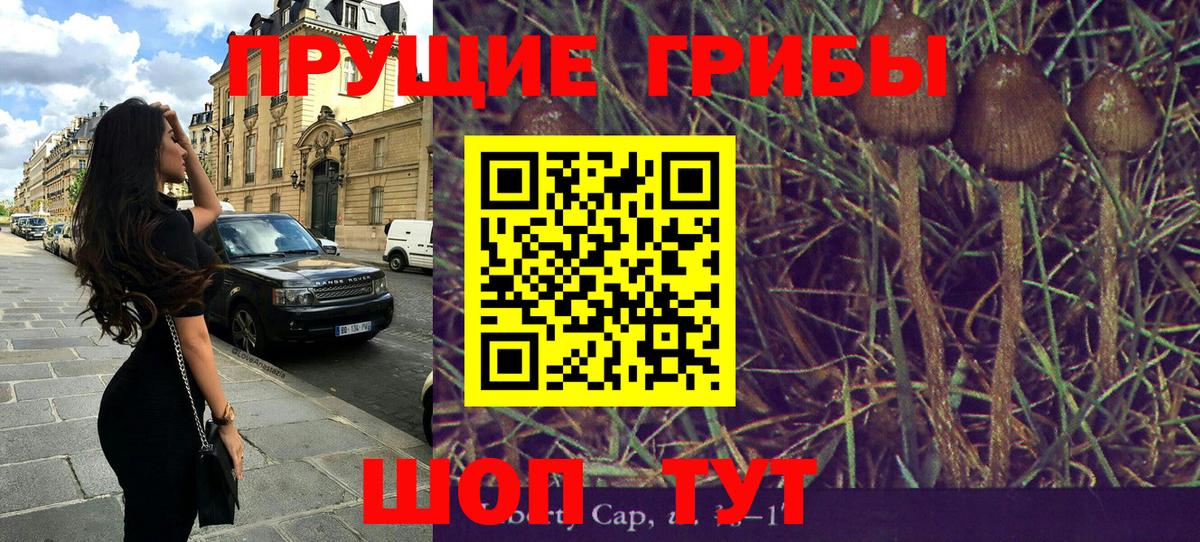 Галлюциногенные грибы GOLDEN TEACHER Ахтубинск