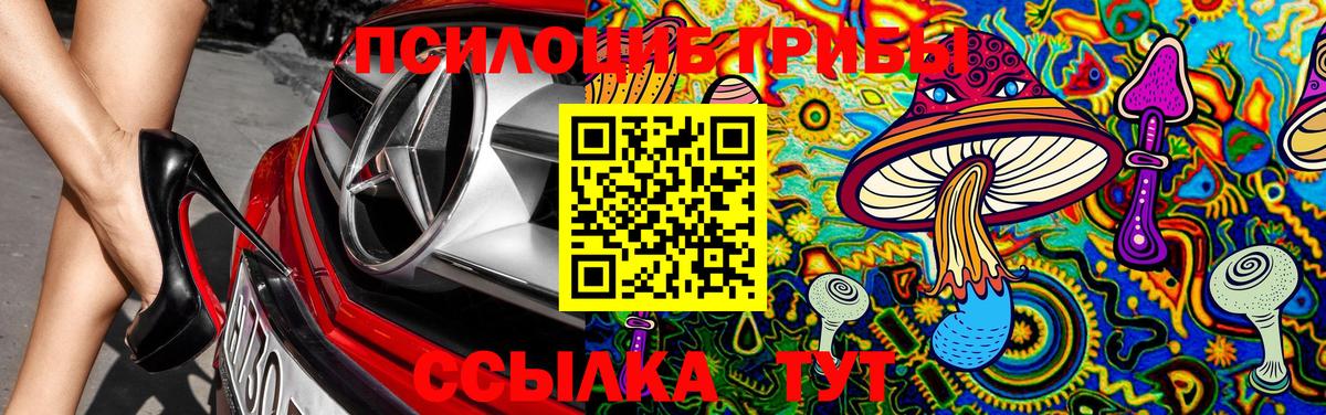 Галлюциногенные грибы прущие грибы Ахтубинск