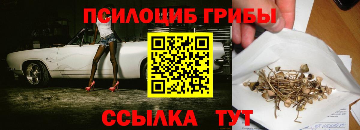 Псилоцибиновые грибы Psilocybine cubensis  Галлюциногенные грибы ЛСД  Ахтубинск  Вход с VPN 