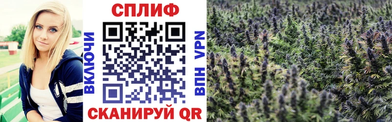 KRAKEN ссылки  Ахтубинск  Бошки марихуана гибрид 